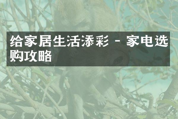 给家居生活添彩 - 家电选购攻略