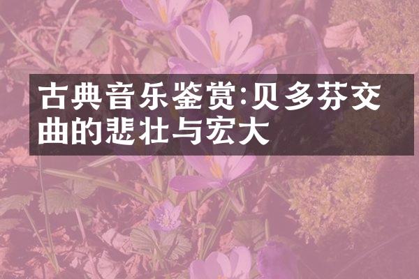 古典音乐鉴赏:贝多芬交响曲的悲壮与宏大