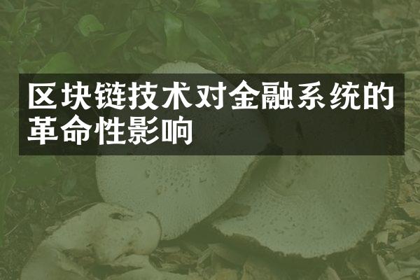 区块链技术对金融系统的革命性影响