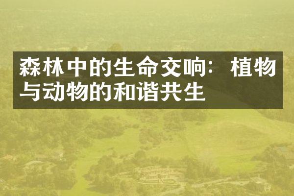 森林中的生命交响：植物与动物的和谐共生