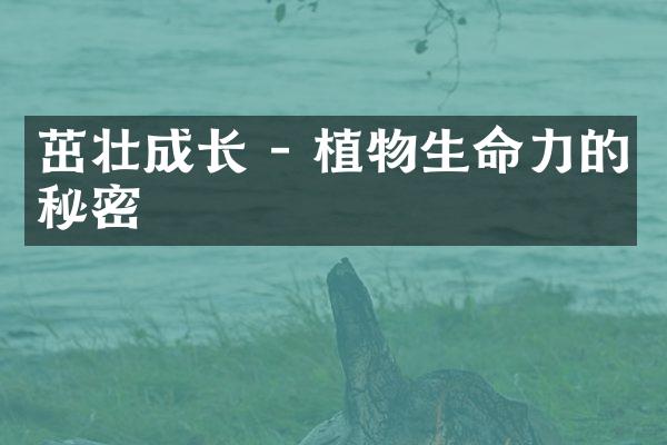茁壮成长 - 植物生命力的秘密
