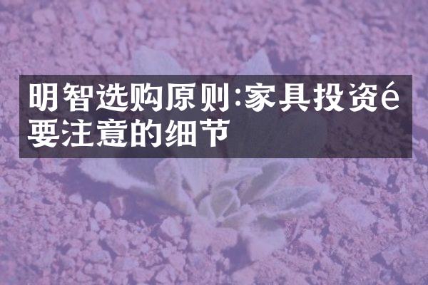明智选购原则:家具投资需要注意的细节