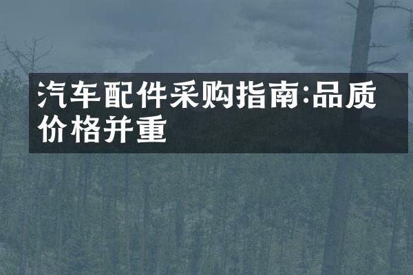 汽车配件采购指南:品质与价格并重