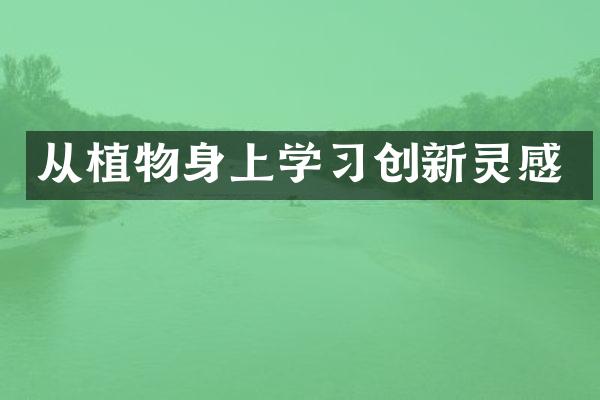 从植物身上学习创新灵感