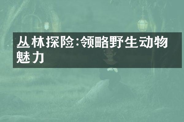 丛林探险:领略野生动物的魅力