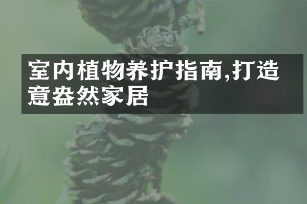 室内植物养护指南,打造绿意盎然家居