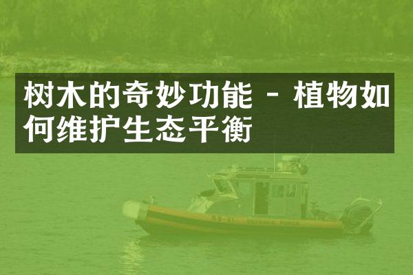 树木的奇妙功能 - 植物如何维护生态平衡