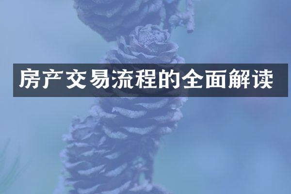 房产交易流程的全面解读