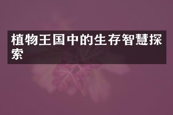 植物王国中的生存智慧探索