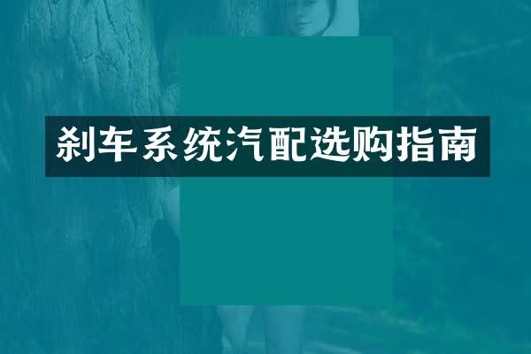 刹车系统汽配选购指南