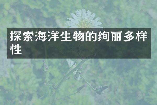 探索海洋生物的绚丽多样性