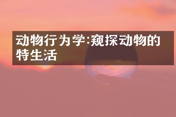 动物行为学:窥探动物的独特生活