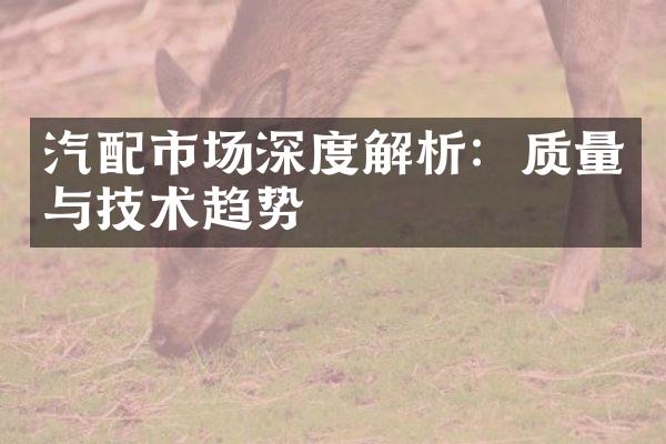 汽配市场深度解析：质量与技术趋势