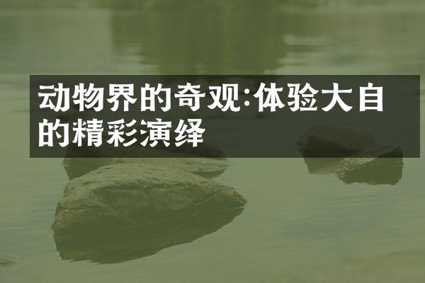 动物界的奇观:体验大自然的精彩演绎