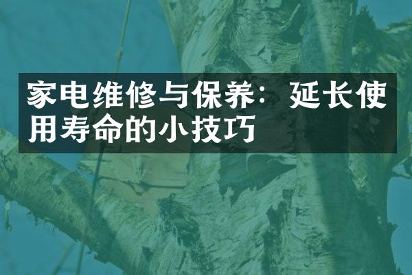 家电维修与保养：延长使用寿命的小技巧