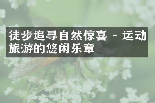 徒步追寻自然惊喜 - 运动旅游的悠闲乐章