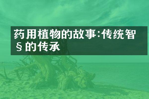 药用植物的故事:传统智慧的传承