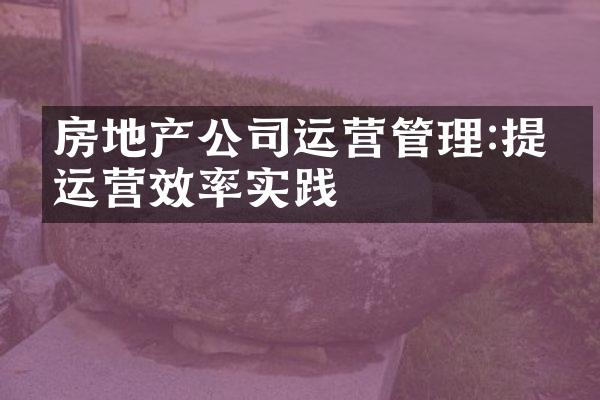 房地产公司运营管理:提升运营效率实践