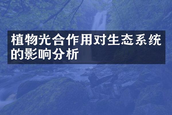 植物光合作用对生态系统的影响分析