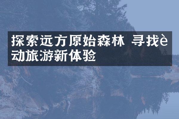 探索远方原始森林 寻找运动旅游新体验