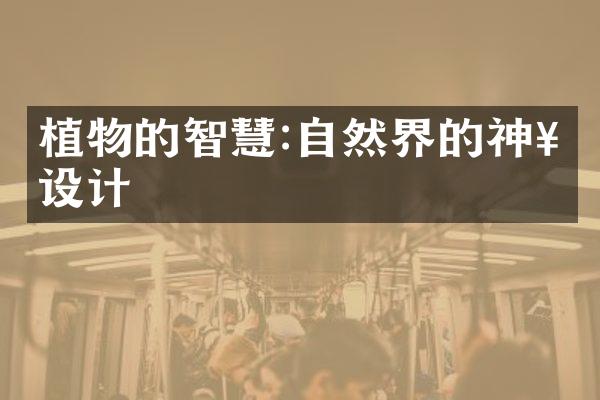 植物的智慧:自然界的神奇设计