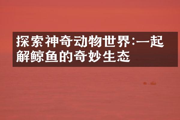 探索神奇动物世界:一起了解鲸鱼的奇妙生态