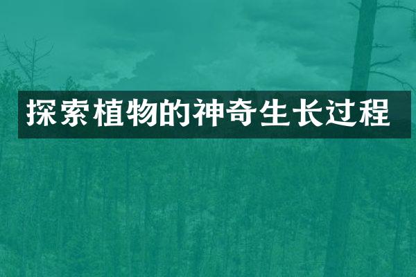 探索植物的神奇生长过程