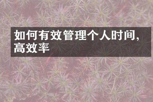 如何有效管理个人时间,提高效率