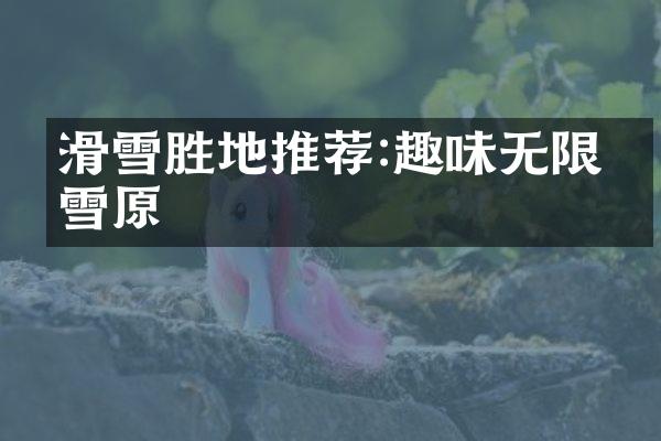 滑雪胜地推荐:趣味无限的雪原