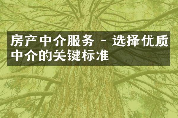 房产中介服务 - 选择优质中介的关键标准