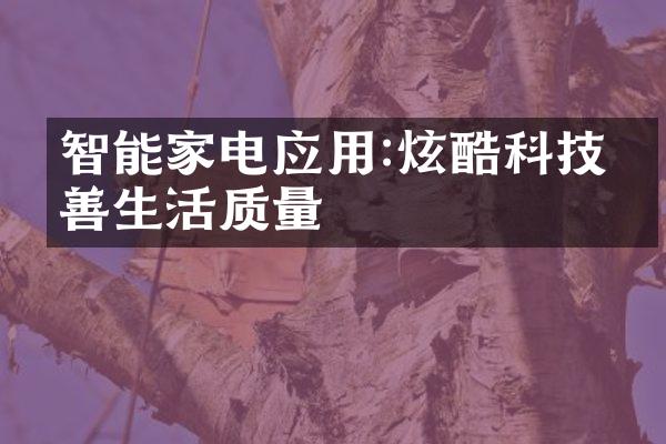 智能家电应用:炫酷科技改善生活质量