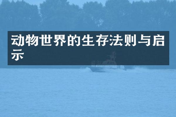 动物世界的生存法则与启示