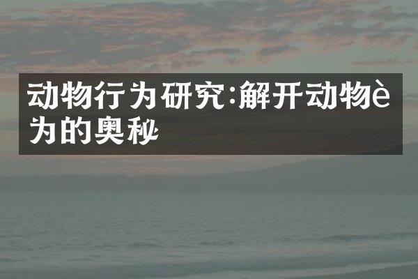 动物行为研究:解开动物行为的奥秘