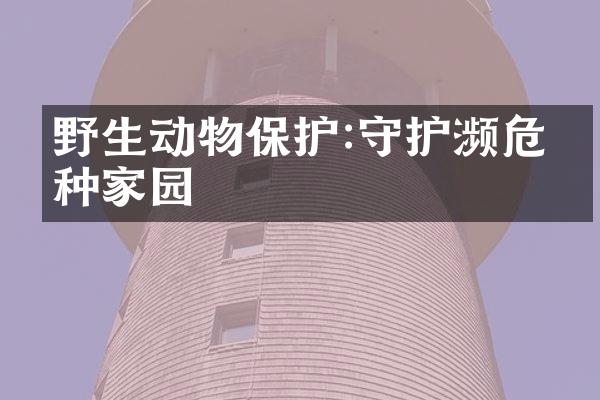 野生动物保护:守护濒危物种家园