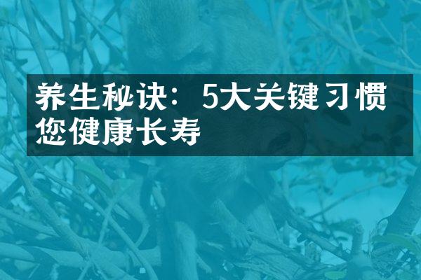养生秘诀：5大关键习惯助您健康长寿