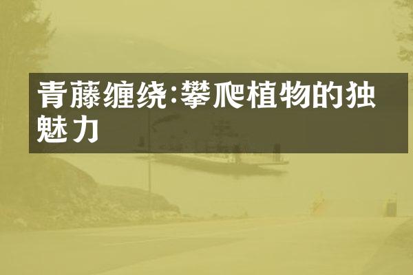 青藤缠绕:攀爬植物的独特魅力