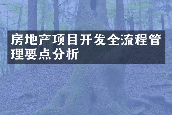 房地产项目开发全流程管理要点分析