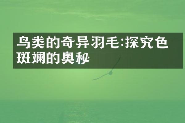 鸟类的奇异羽毛:探究色彩斑斓的奥秘