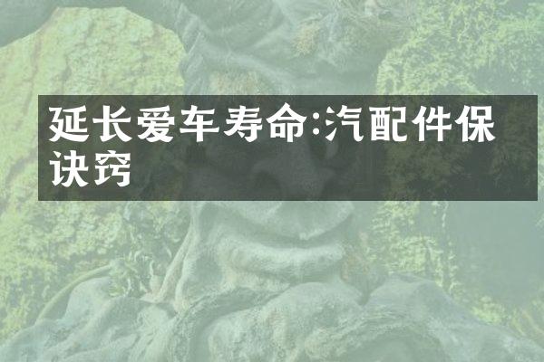延长爱车寿命:汽配件保养诀窍