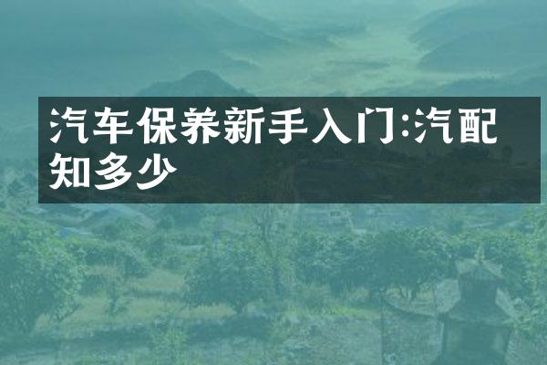 汽车保养新手入门:汽配件知多少