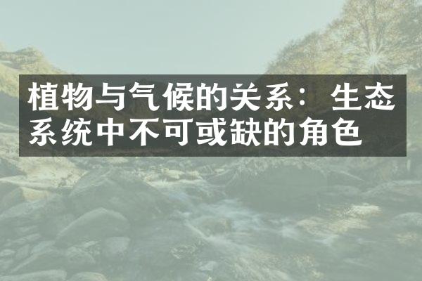 植物与气候的关系：生态系统中不可或缺的角色
