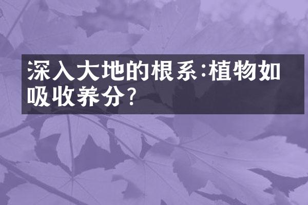 深入大地的根系:植物如何吸收养分?