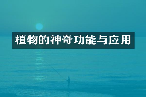 植物的神奇功能与应用