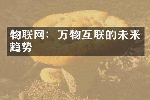 物联网：万物互联的未来趋势