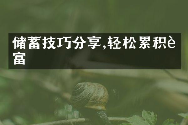 储蓄技巧分享,轻松累积财富