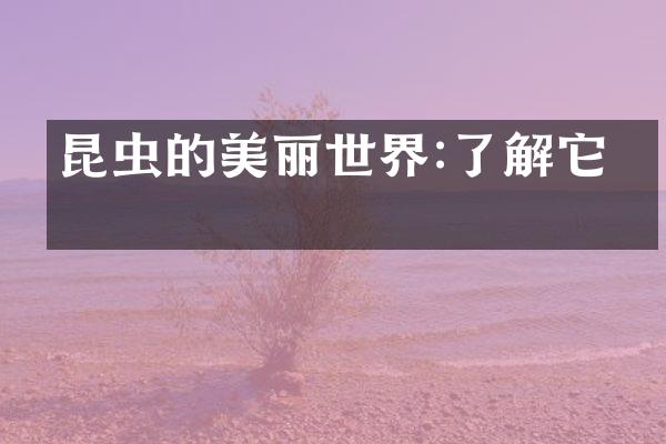 昆虫的美丽世界:了解它们