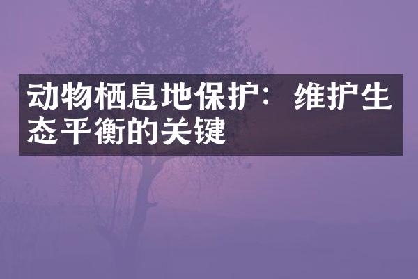 动物栖息地保护：维护生态平衡的关键