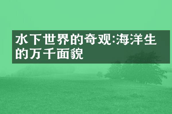 水下世界的奇观:海洋生物的万千面貌
