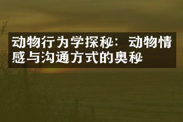 动物行为学探秘：动物情感与沟通方式的奥秘