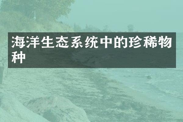 海洋生态系统中的珍稀物种